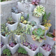Illustration for article titled Easy Decorative Garden Projects Using Cinder Blocks